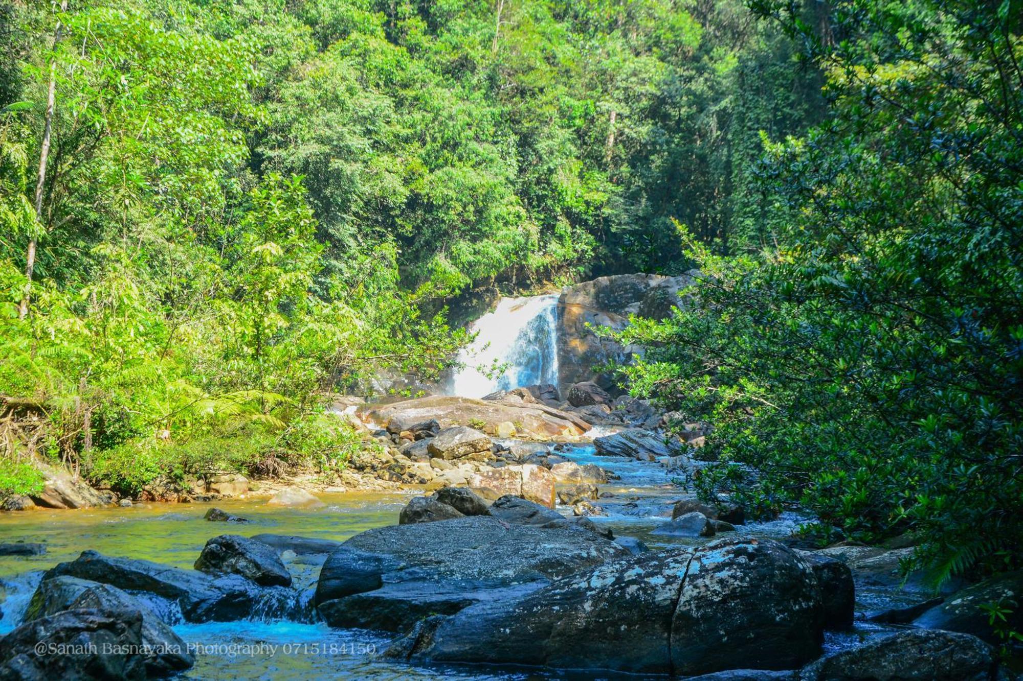 Rainforest Holiday Inn Денияйя Экстерьер фото