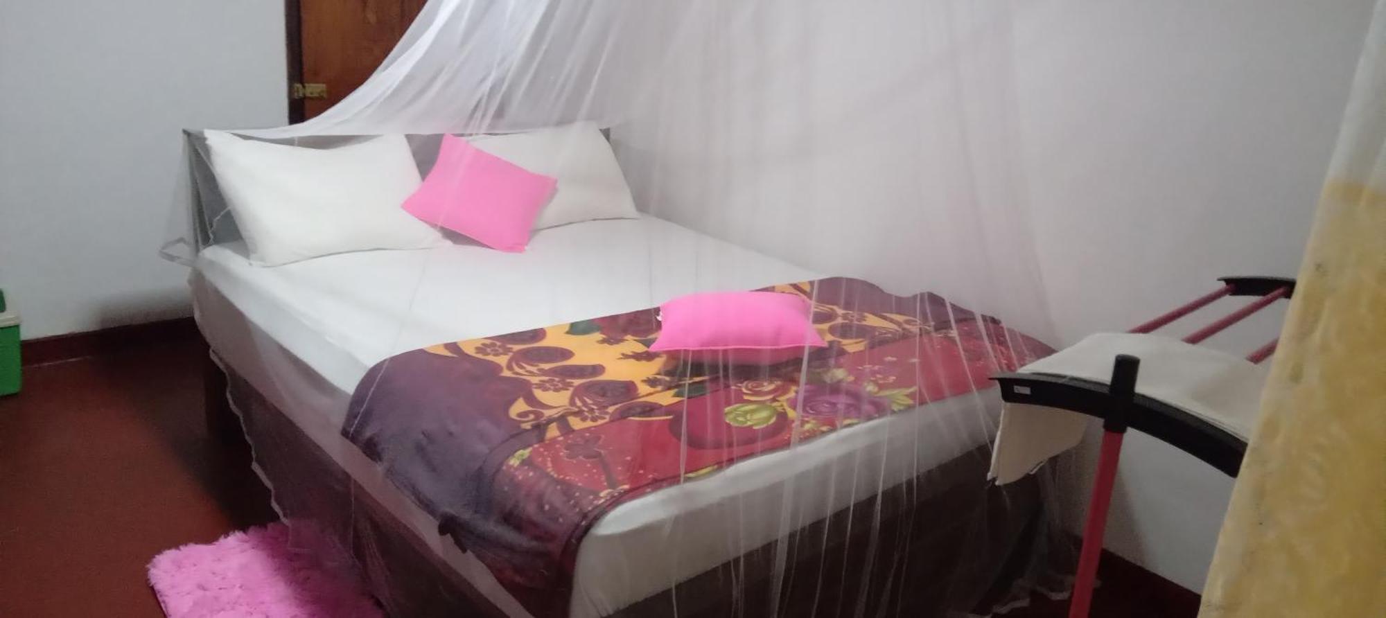 Rainforest Holiday Inn Денияйя Номер фото