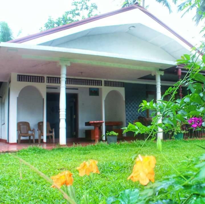 Rainforest Holiday Inn Денияйя Экстерьер фото