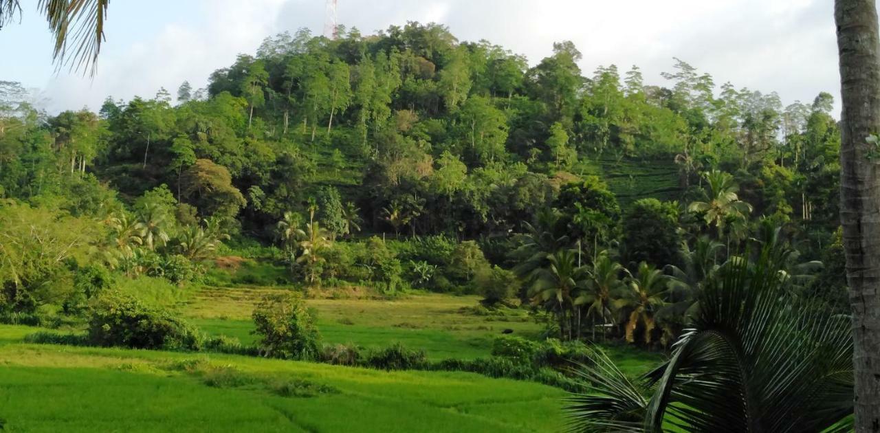 Rainforest Holiday Inn Денияйя Экстерьер фото