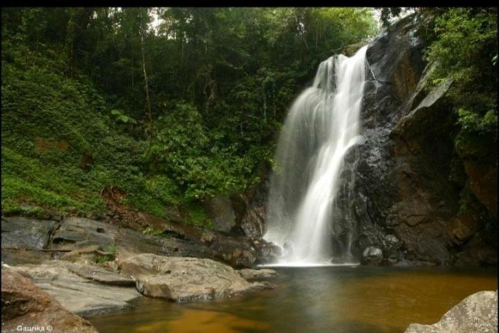 Rainforest Holiday Inn Денияйя Экстерьер фото